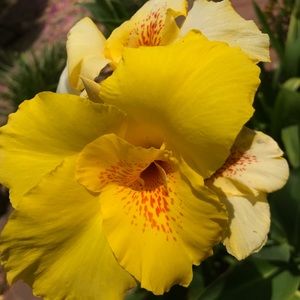 Meet your Posher, Clara